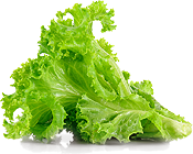 Салат