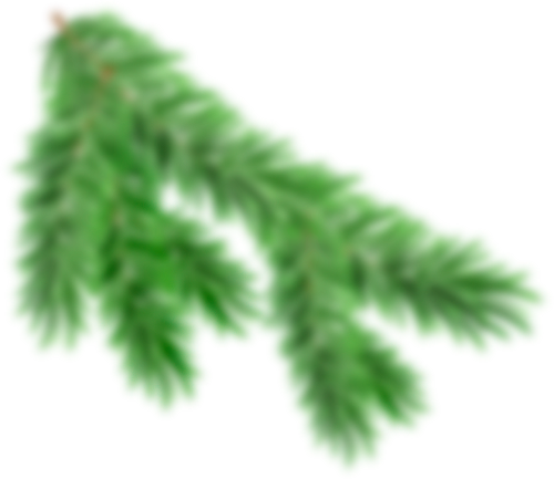 Ветка