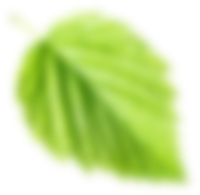 Листик