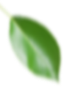 Листик